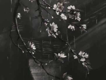 Đông qua xuân đến, cuối cùng chúng ta vẫn lớn lên theo vòng đời của riêng mình trong mùa của chính m