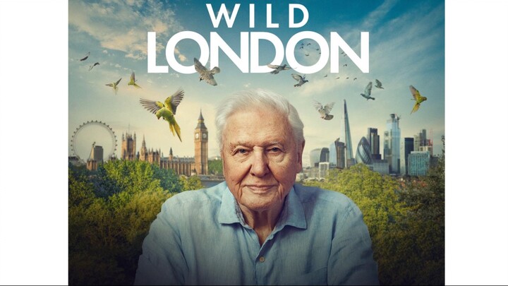 Wild London