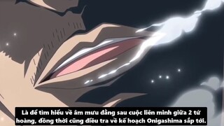 Mục Đích Của Aokiji Khi Đến Wano Yamato Sẽ Vào Băng Mũ Rơm p7