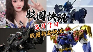 【3月7日胶圈快讯】