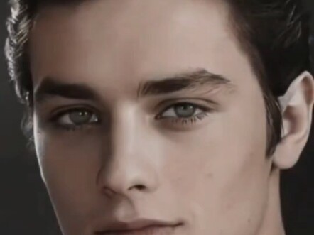 في عينيك، كان الجد في شبابه أجمل رجل في فرنسا، وأكثر الرجال وسامة في أوروبا خلال مئة عام، بجمالٍ ساح