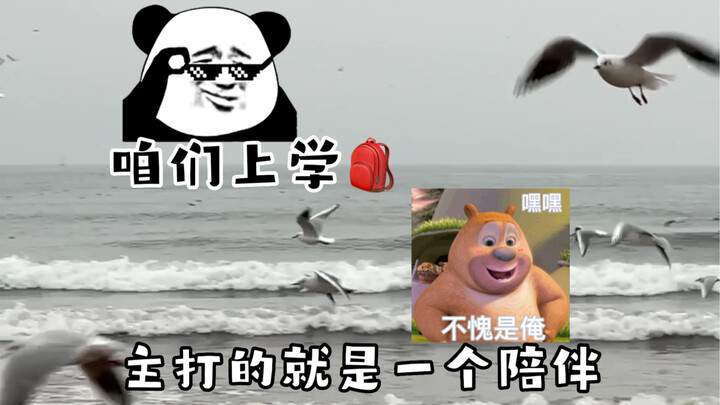 The Current Situation of Schooling for Today's Students