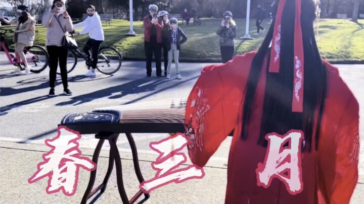 【แคนาดา】กู่เจิง “ฤดูใบไม้ผลิเดือนสาม” — ดอกไม้ใหม่บานเต็มกิ่งในต้นเดือนแห่งฤดูใบไม้ผลิอันอบอุ่น นำพา