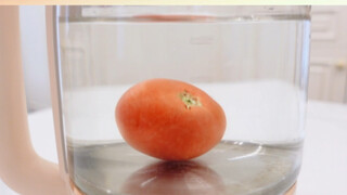 Conan｜Levitating Tomatoes
