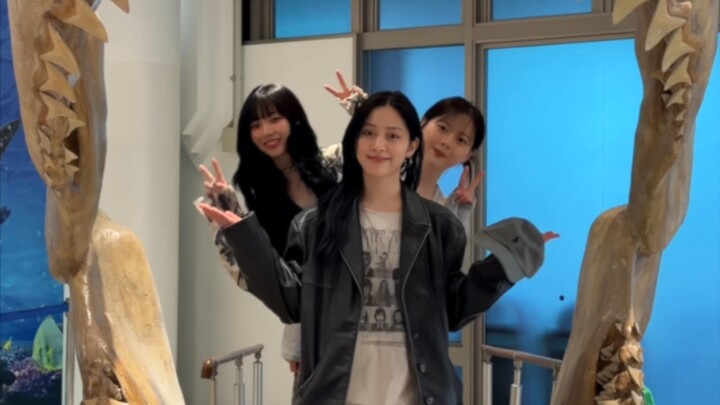 【aespa】Heave-ho, heave-ho! Our Friendship Journey ✮