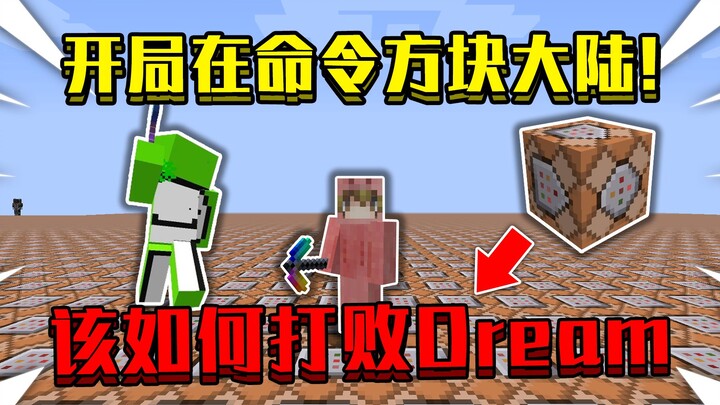 Start in the Command Block Continent! The whole world is full of command blocks, how to defeat Dream