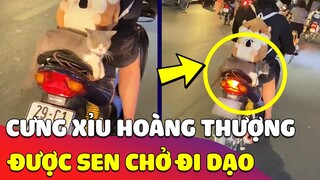 Cưng xỉu hình ảnh HOÀNG THƯỢNG được Sen 'CHỞ ĐI DẠO' giữa thời tiết se lạnh cực DỄ THƯƠNG 😍 Gâu Đần