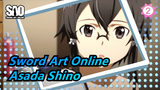 Sword Art Online|Asada Shino(Shocked EP)_2