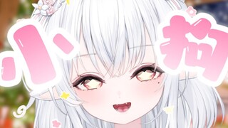 ❤妈妈的小狗来啦~❤