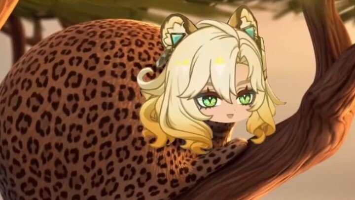 ซีหนิน: ฉันแค่อยากงีบสักหน่อย~