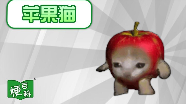 [Ensiklopedia Meme] Apa meme Apple Cat?