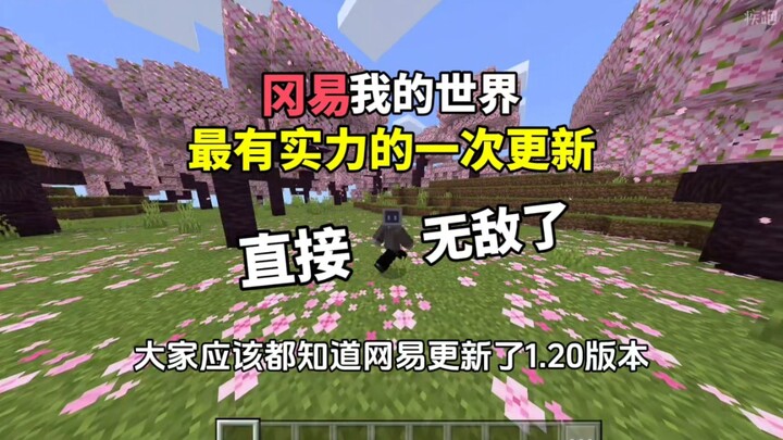 ⚡最有实力的一次更新⚡