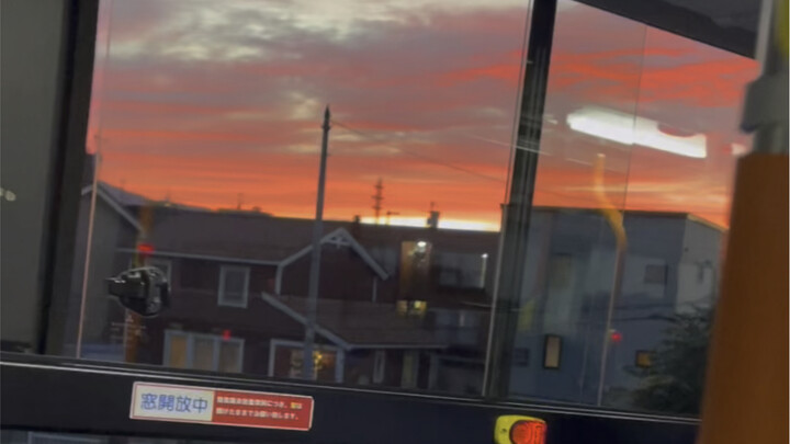 She packed her bags for nine hours, crying the whole time as she showed me tons of childhood awards 