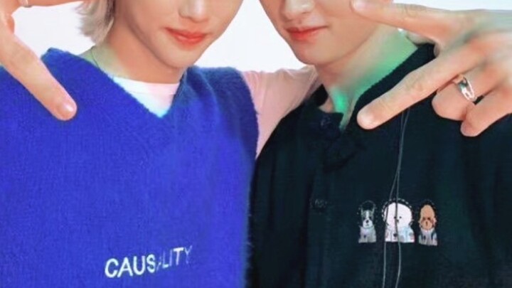 【Li's Cat Cats】Isn't this really a lost kid from the Mao family?!