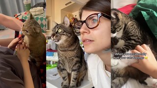 The cat's reaction never disappoints