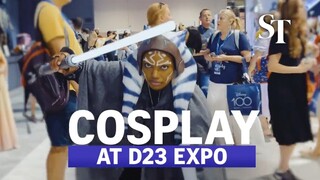 Cosplay at the D23 Expo in California