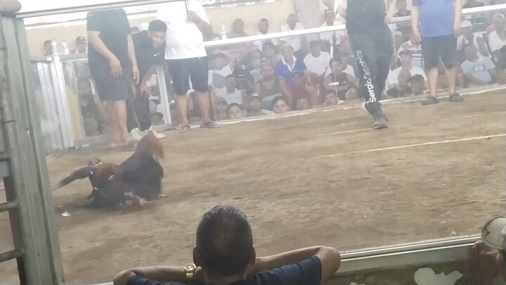 Black tiger ( majayjay  laguna) Win vs Lucban Quezon