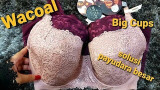 BH Wacoal Big Cups untuk Payudara Besar, dan Tips Memilih Ukuran BH (link di deskripsi box)