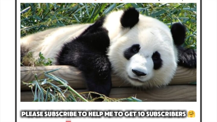 Beware in Panda 😳