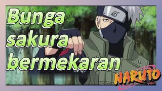 Bunga sakura bermekaran