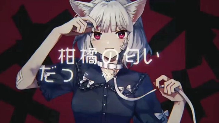 aikosei kafu cat