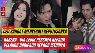 CEO Kaya sangat menyesal karena lebih percaya pada pelakur daripada istrinya sendiri.