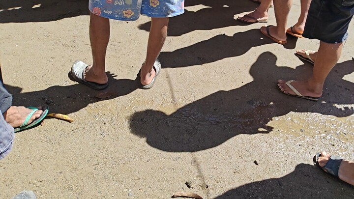 My Bolik 3yrs old (Win)