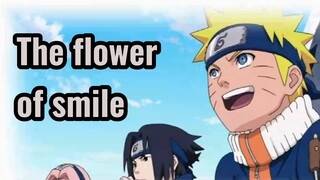 The flower of smile