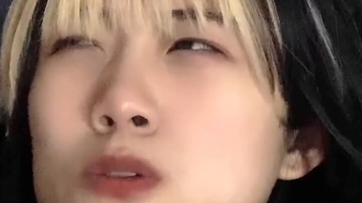 "ปาร์ตี้กลางคืนของสาวลิงสองหนาม"