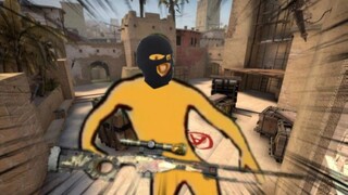 Two Tigers teach you how to play CS:GO