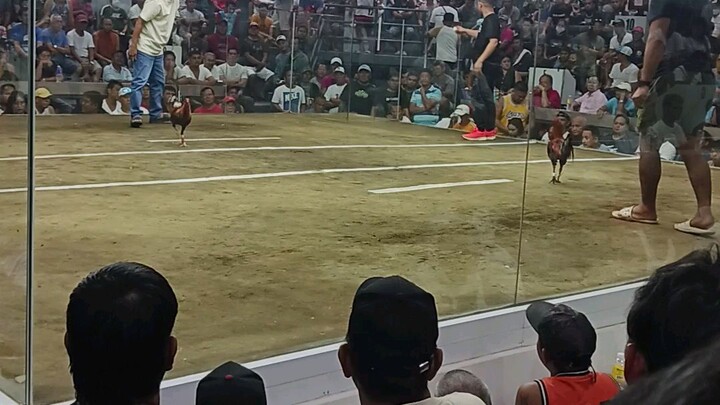 Michelle Bennett..5stag Circuit Derby Sept 27 2025