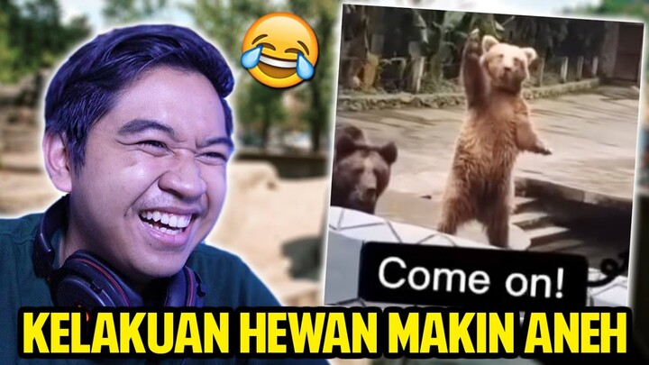 KELAKUAN HEWAN MAKIN ANEH-ANEH! BERUANG AJA BISA KAYA BEGINI! REACTION VIDEO LUCU HEWAN!