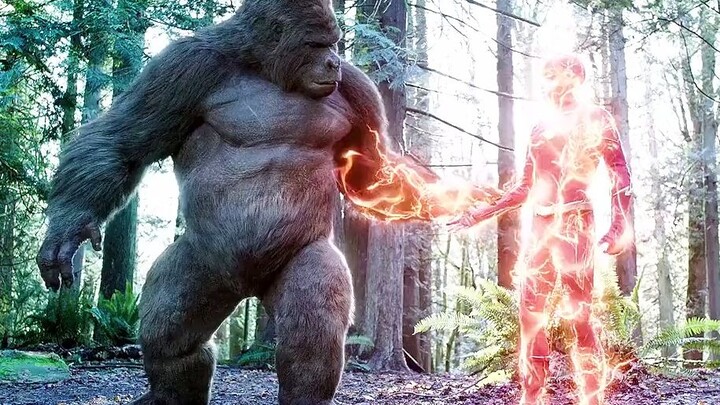 Flash bekerja sama! Orangutan tercepat di dunia