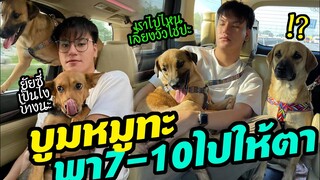 บูมหมูทะ ขับรถหรูมาส่ง 7-10 ไปหาตา ที่ ตจว. OMG! ครั้งแรกนั่งรถของหมาจร7