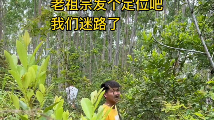 Tahun ini akhirnya bisa ziarah kubur di Qingming, tapi tiga tahun terakhir malah bikin leluhur kita 