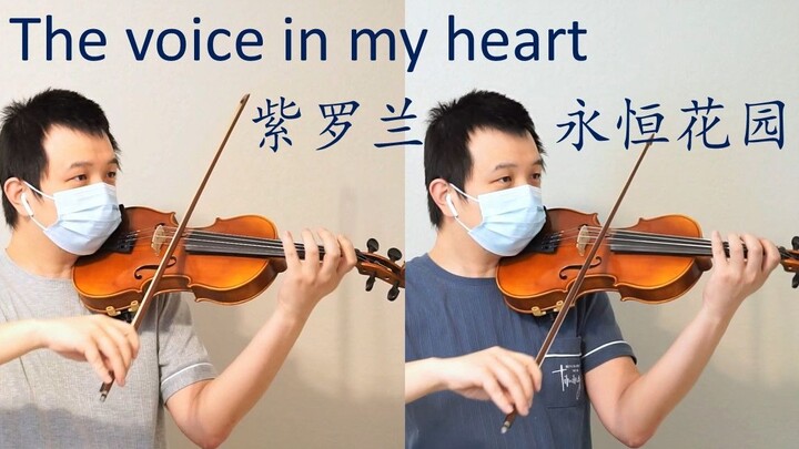 【小提琴】The voice in my heart - 紫罗兰永恒花园