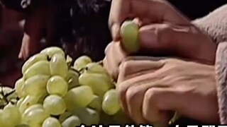 قضى تشانغ تشيان ثلاثة عشر عامًا لكي يُطعم الإمبراطور وو من هان العنب