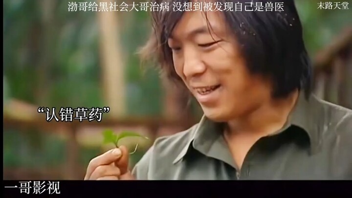 Brother Bo treated the triad boss, only to be discovered as a veterinarian—now that's an awkward sit