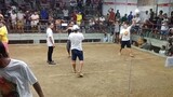 4 cock derby. 4th fyt Controversial Lose (Boston x Dirty dom)