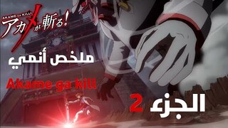 ملخص أنمي Akame ga Kill | القسم الثاني