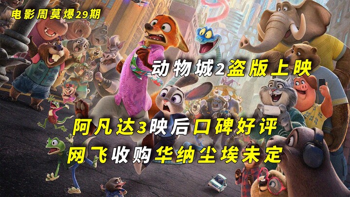 Russia releases pirated version of "Zootopia 2"; "Avatar 3" receives rave reviews at its China premi