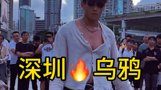 乌鸦哥来深圳了