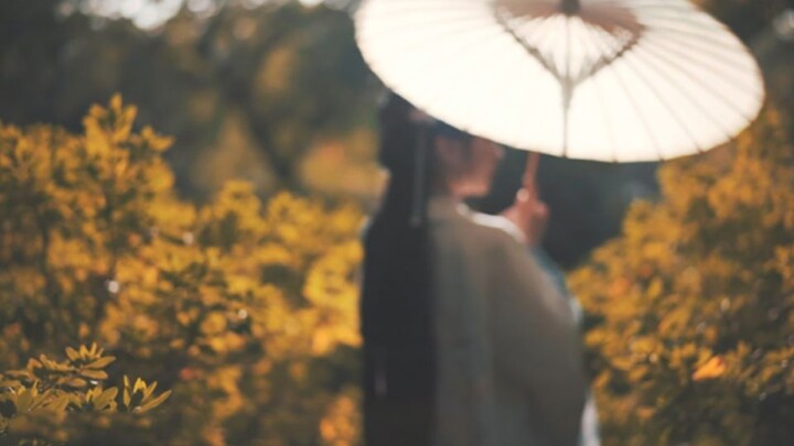 Berpura-pura Bisa Menari [bgm Sekilas yang Mempesona]