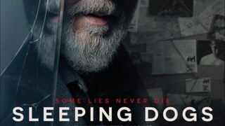 Sleeping Dogs