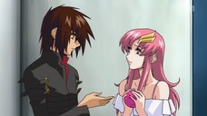 Gundam Seed Destiny - 13 OniOneAni