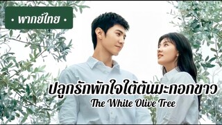 ตอน 6