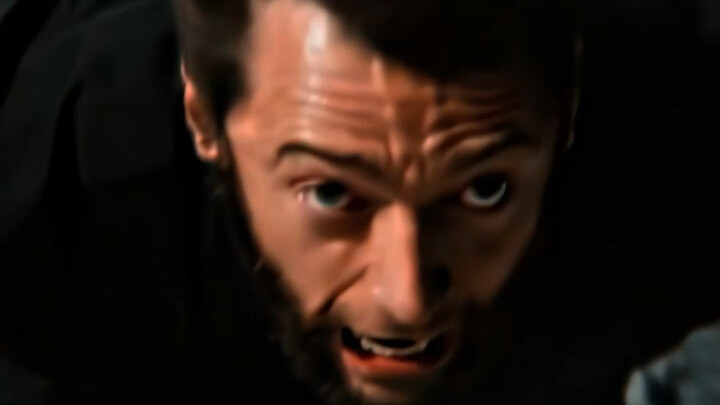 Uncle Wolf Teases the Japanese!