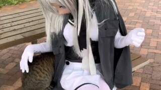 【琪咕咪】kigurumi：这只猫好可爱，我要把它带回家当宠物养！主人：不可以，我家里已经有一只小宠物了，我准备把它24小时关在笼子里。kigurumi：卧槽！