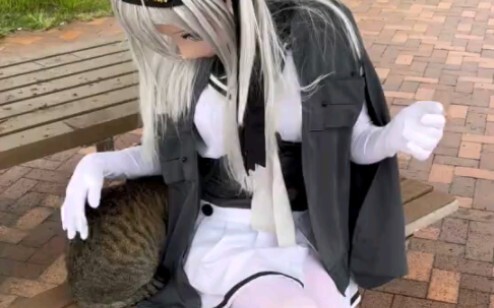 【琪咕咪】kigurumi：这只猫好可爱，我要把它带回家当宠物养！主人：不可以，我家里已经有一只小宠物了，我准备把它24小时关在笼子里。kigurumi：卧槽！