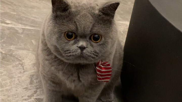 Insiden Keliru yang Dipicu oleh Sebuah Buah Durian